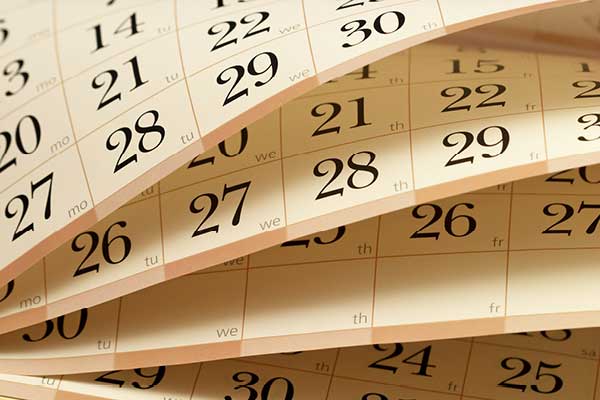 Calendar pages
