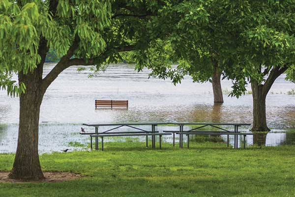 Park near a pond with benches