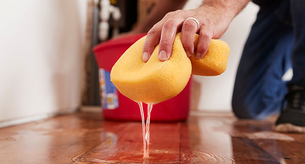 Sponge cleaning floor